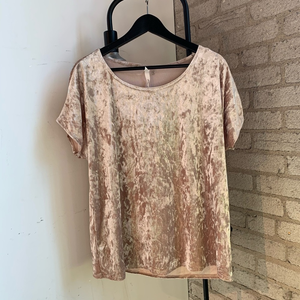 Trendy Dusty Beige Velvet Top
